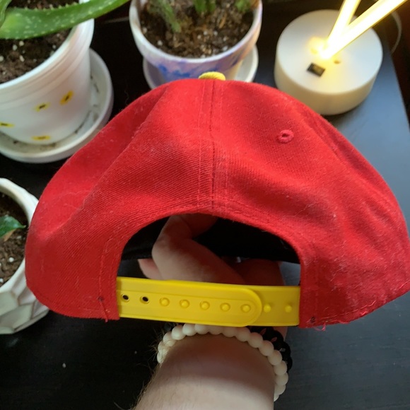 The flash SnapBack - Picture 2 of 3